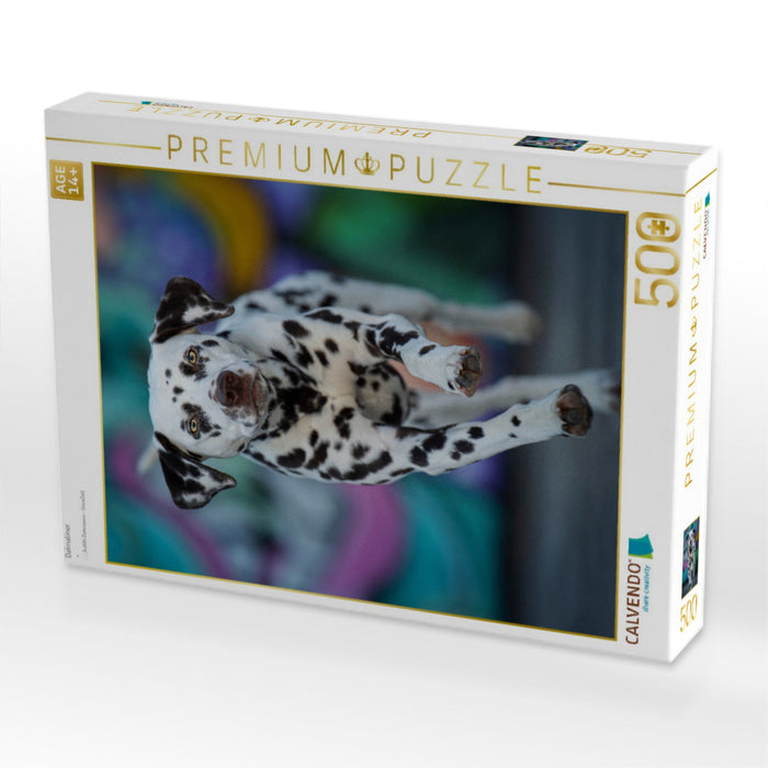 Dalmatiner - CALVENDO Foto-Puzzle'