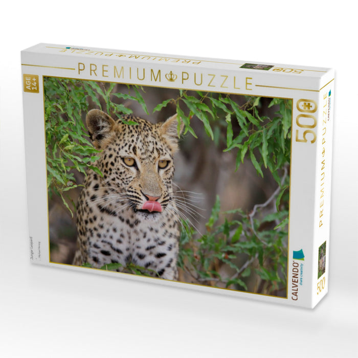 Junger Leopard - CALVENDO Foto-Puzzle'