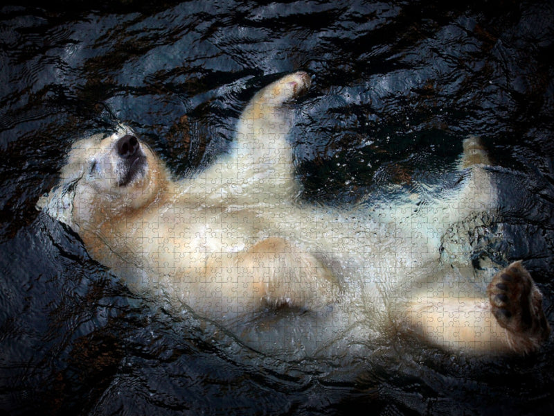Eisbär Baby: Schwebend - CALVENDO Foto-Puzzle'