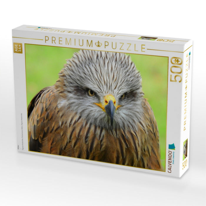Adler - CALVENDO Foto-Puzzle'