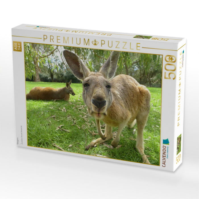 Känguru - CALVENDO Foto-Puzzle'
