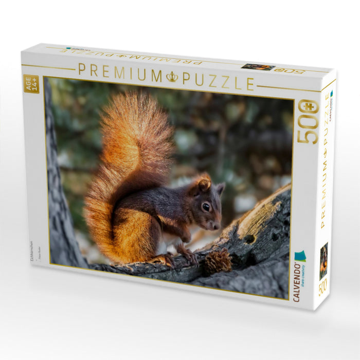 Eichhörnchen - CALVENDO Foto-Puzzle'
