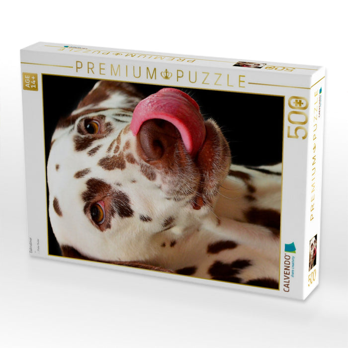 Dalmatiner - CALVENDO Foto-Puzzle'
