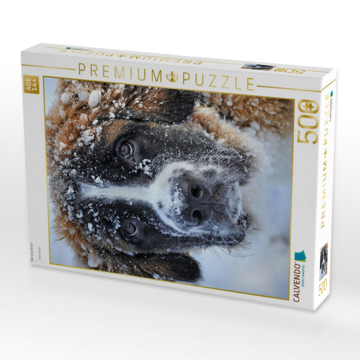Bernhardiner - CALVENDO Foto-Puzzle'