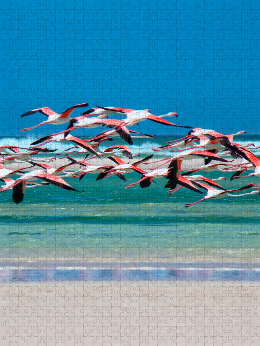 Flamingo - CALVENDO Foto-Puzzle'