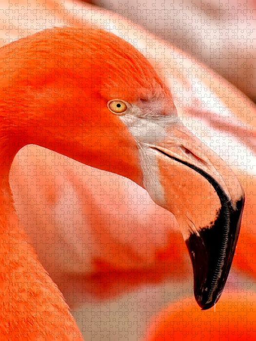 Flamingo - CALVENDO Foto-Puzzle'