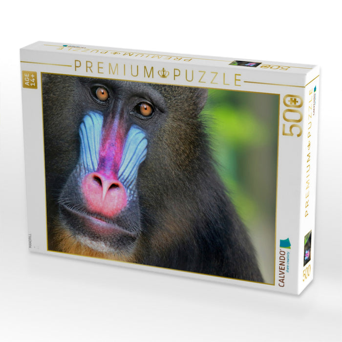 MANDRILL - CALVENDO Foto-Puzzle'