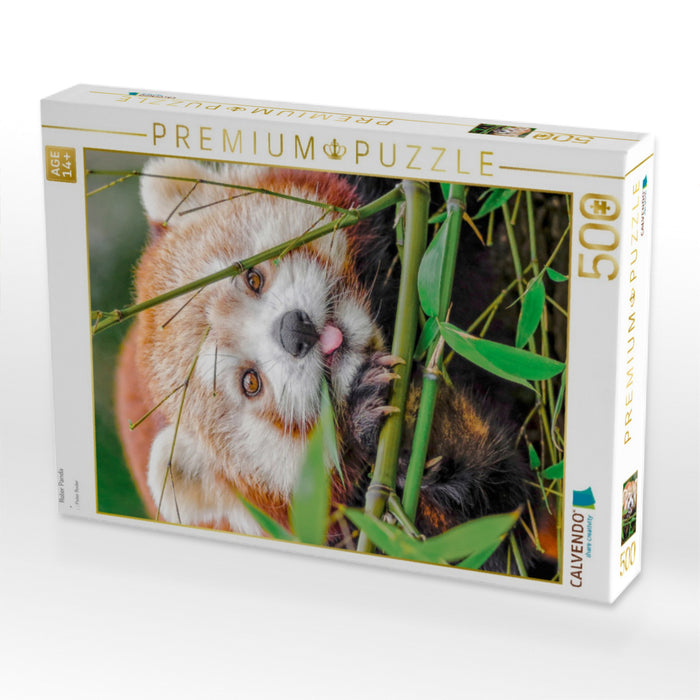 Roter Panda - CALVENDO Foto-Puzzle'