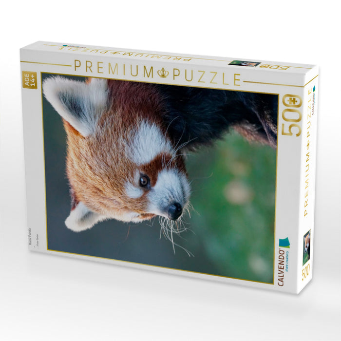 Roter Panda - CALVENDO Foto-Puzzle'
