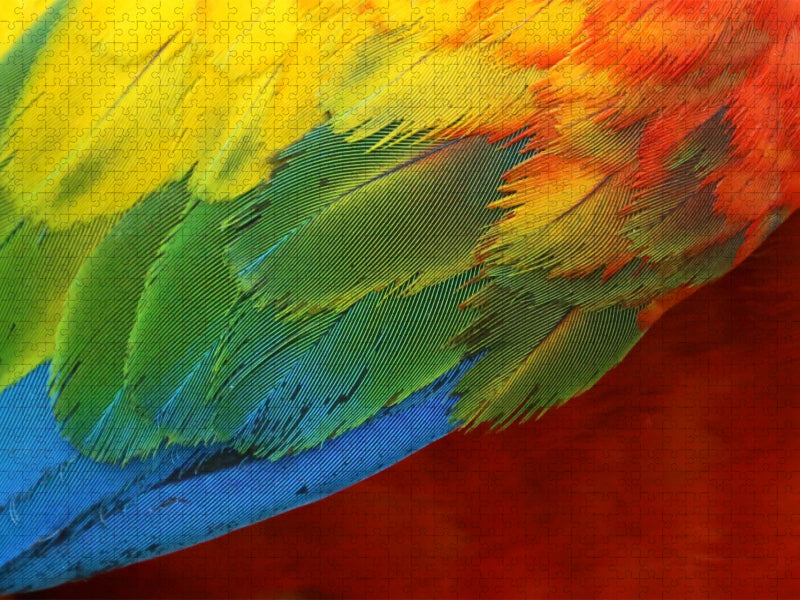 Ara - CALVENDO Foto-Puzzle'