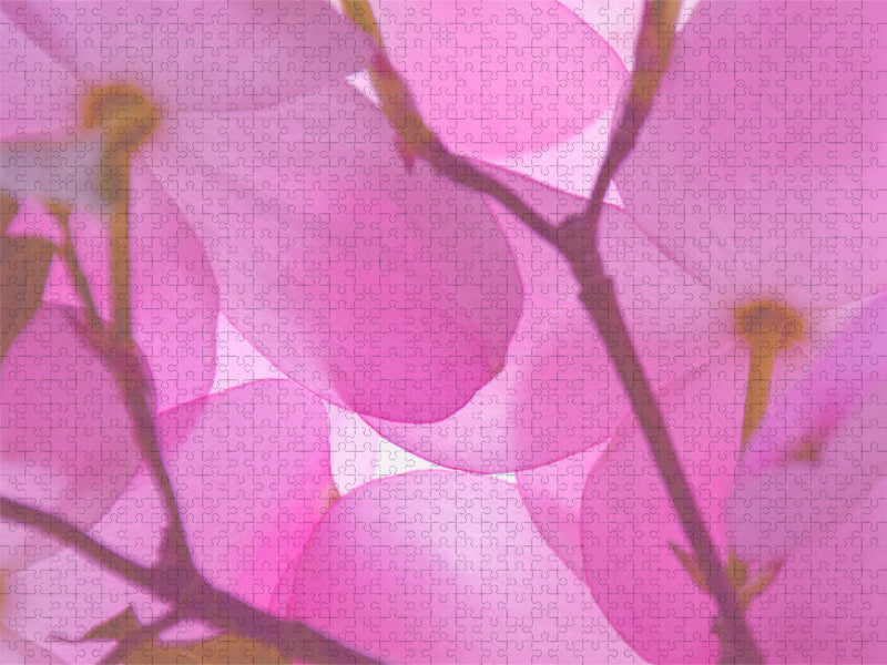 Blumendach - CALVENDO Foto-Puzzle'