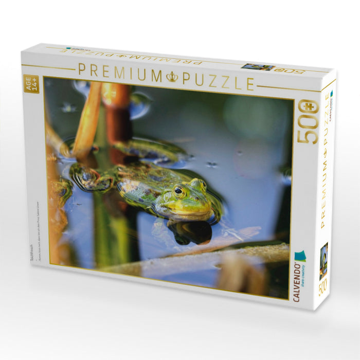 Teichfrosch - CALVENDO Foto-Puzzle'