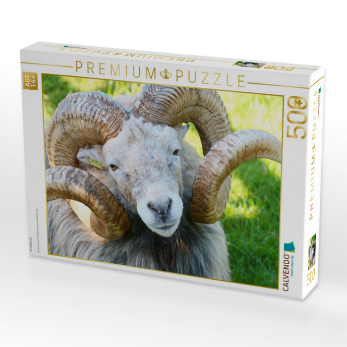 Schafbock - CALVENDO Foto-Puzzle'