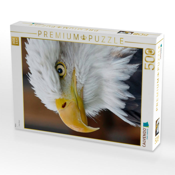 Adler - CALVENDO Foto-Puzzle'