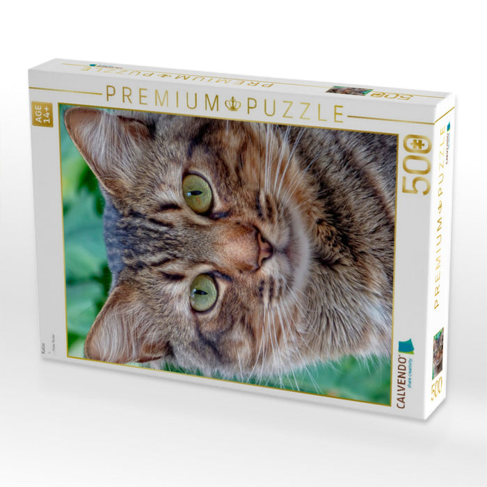 Katze - CALVENDO Foto-Puzzle'