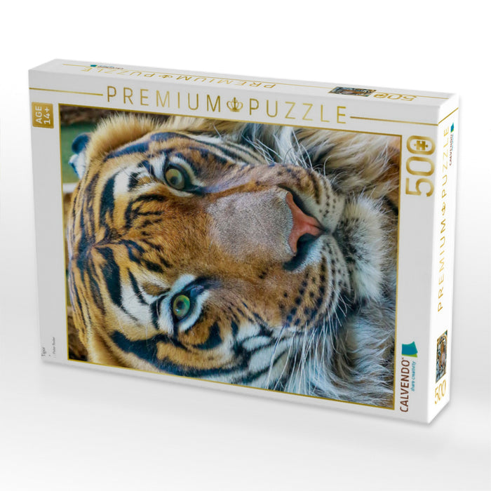 Tiger - CALVENDO Foto-Puzzle'