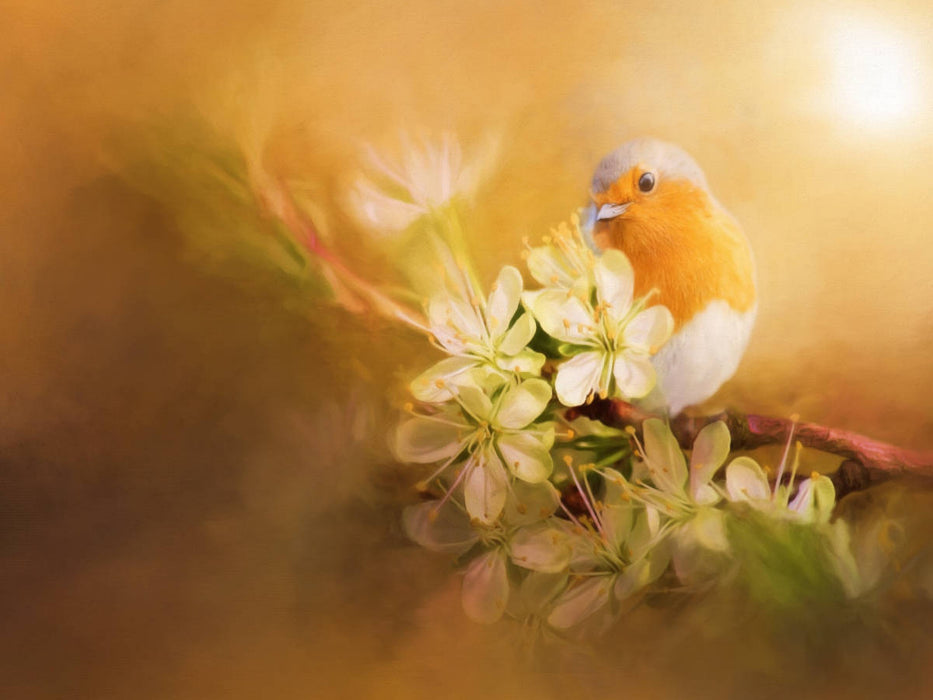 - CALVENDO Foto-Puzzle'