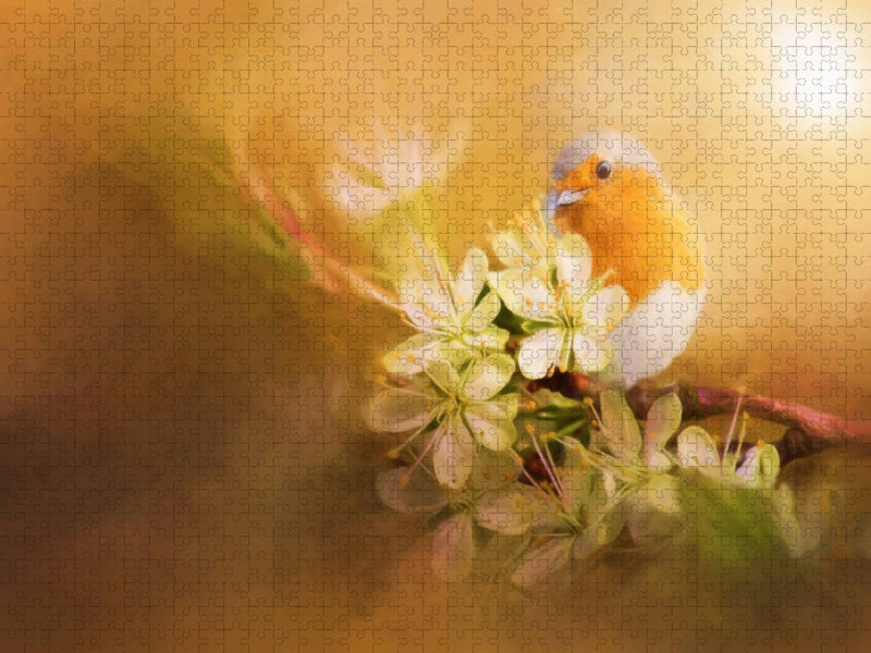 - CALVENDO Foto-Puzzle'