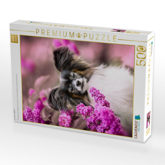 Leo, der Papillon - CALVENDO Foto-Puzzle'