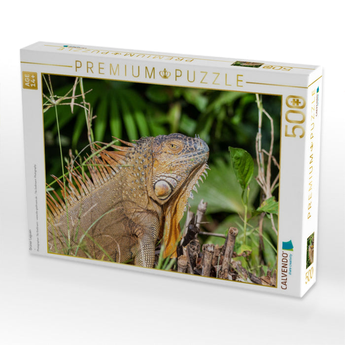 Grüner Leguan - CALVENDO Foto-Puzzle'
