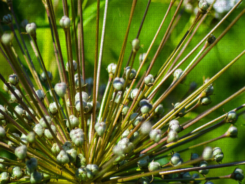 Explosion - CALVENDO Foto-Puzzle'