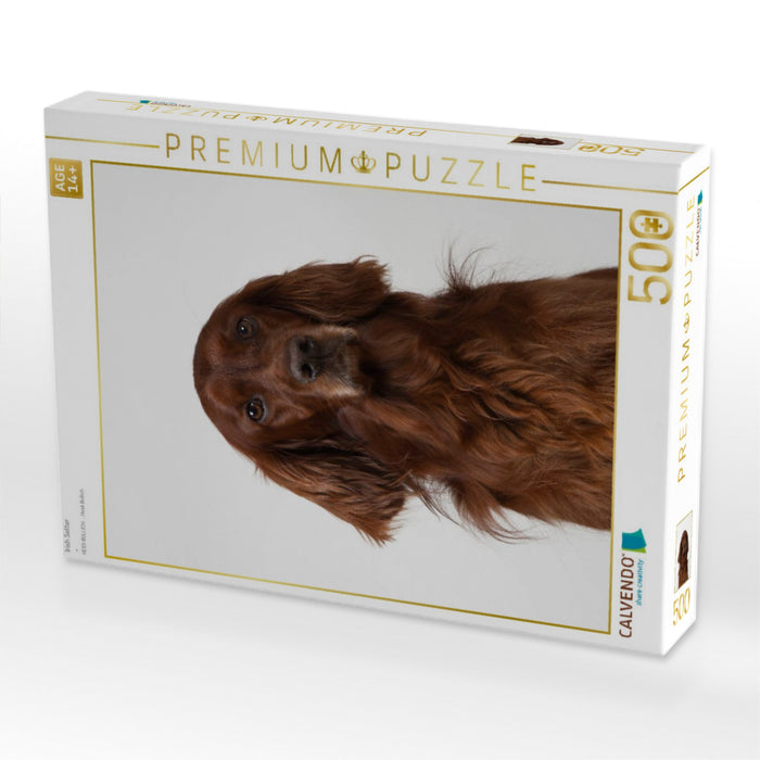 Irish Setter - CALVENDO Foto-Puzzle'