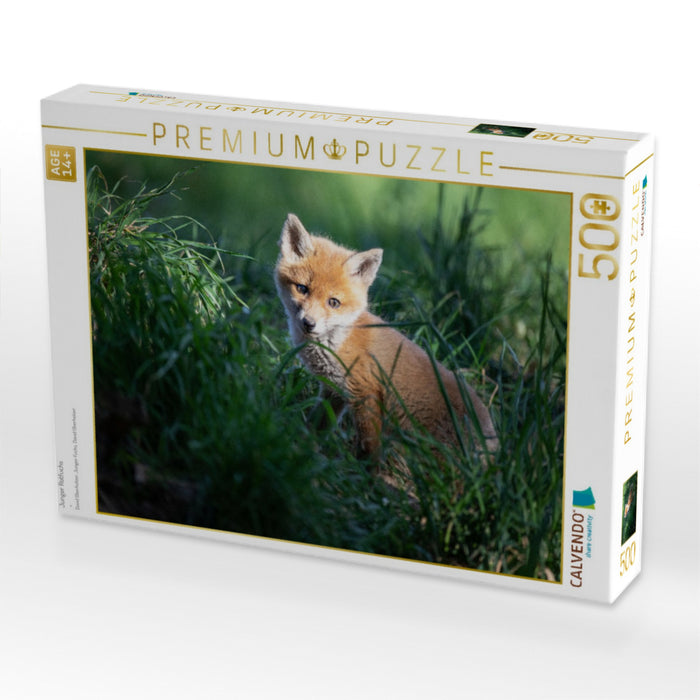 Junger Rotfuchs - CALVENDO Foto-Puzzle'
