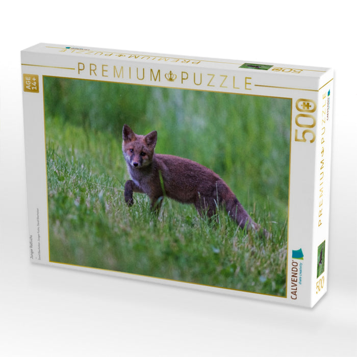 Junger Rotfuchs - CALVENDO Foto-Puzzle'