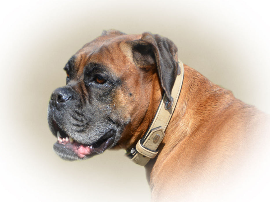 Boxer - CALVENDO Foto-Puzzle'
