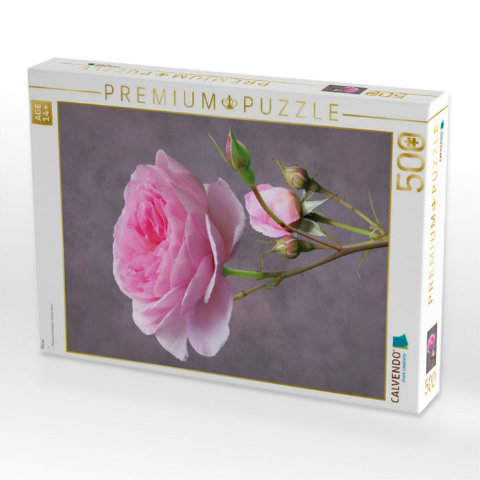 Rose - CALVENDO Foto-Puzzle'
