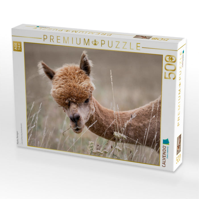 Alpaka, Remigen - CALVENDO Foto-Puzzle'