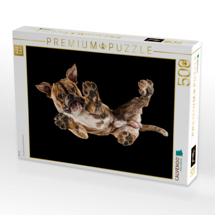 Benito - CALVENDO Foto-Puzzle'