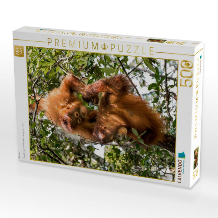 Borneo - CALVENDO Foto-Puzzle'
