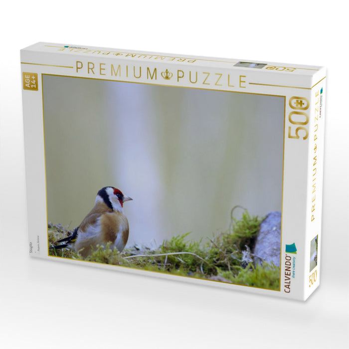 Stieglitz - CALVENDO Foto-Puzzle'