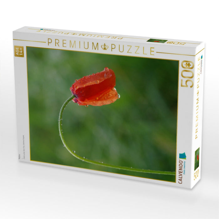 Mohn - CALVENDO Foto-Puzzle'