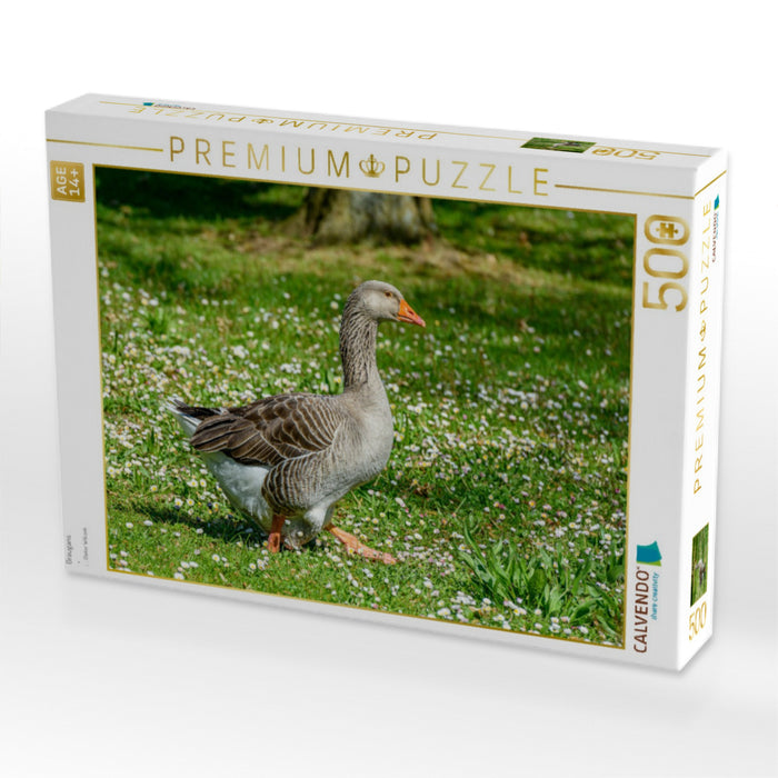 Graugans - CALVENDO Foto-Puzzle'