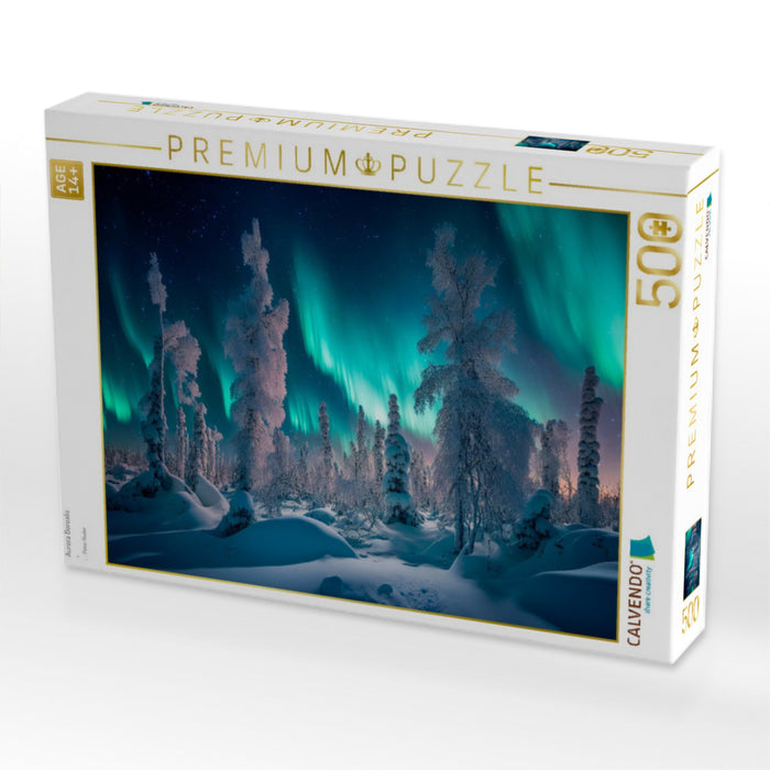 Aurora Borealis - CALVENDO Foto-Puzzle'