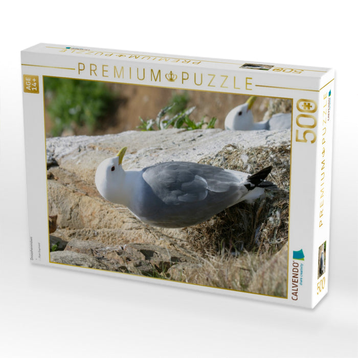 Dreizehenmöwe - CALVENDO Foto-Puzzle'