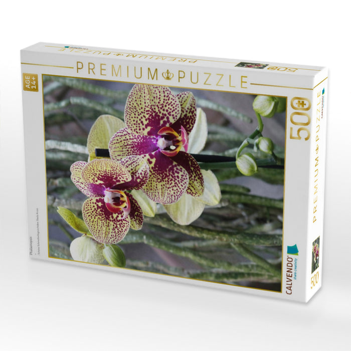 Phalaenopsis - CALVENDO Foto-Puzzle'
