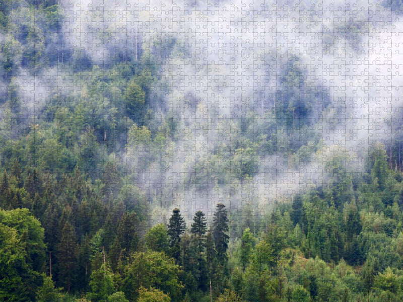 Nebellandschaft - CALVENDO Foto-Puzzle'