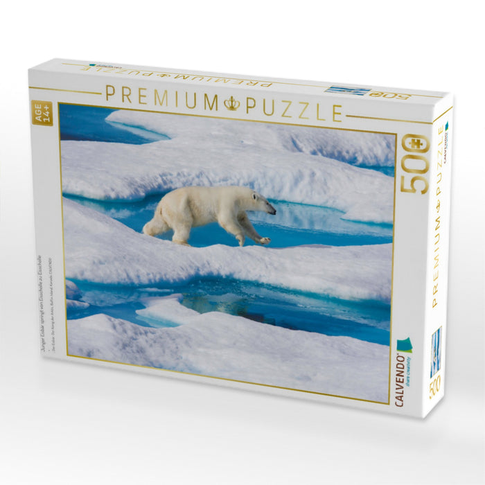 Junger Eisbär springt von Eisscholle zu Eisscholle - CALVENDO Foto-Puzzle'