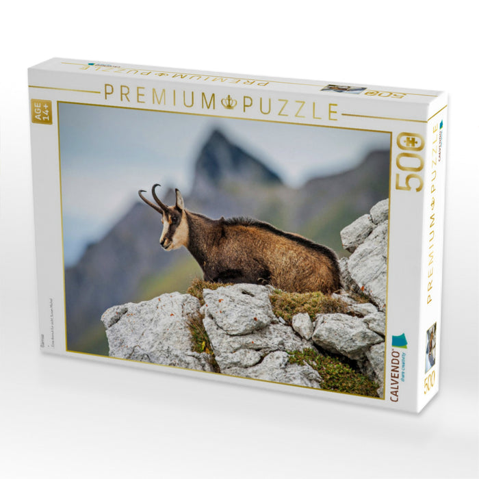 Gämse - CALVENDO Foto-Puzzle'