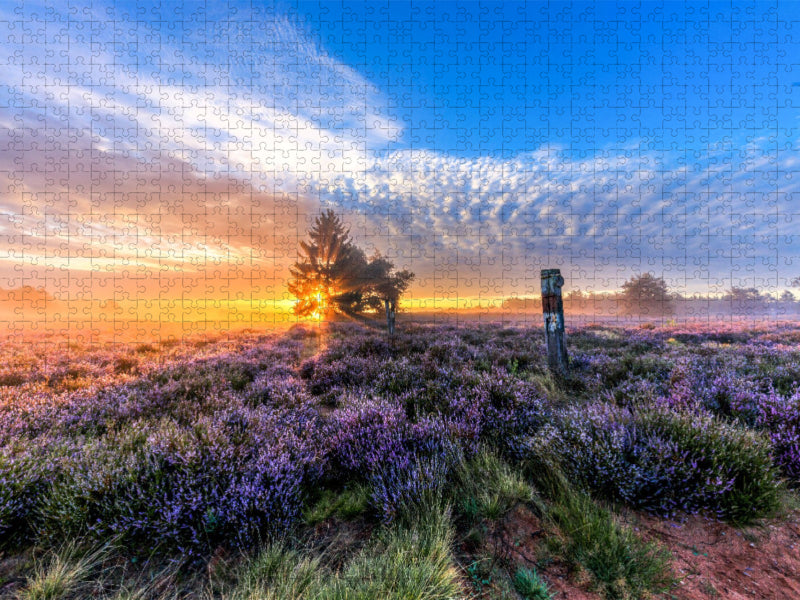 Wunderschöne Mehlinger Heide - CALVENDO Foto-Puzzle'