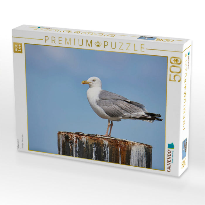 Silbermöve - CALVENDO Foto-Puzzle'