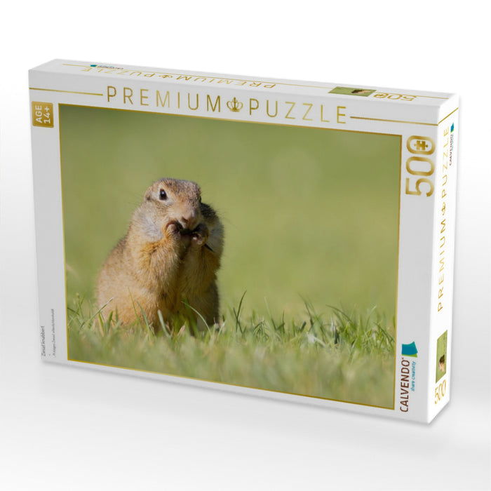 Ziesel knabbert - CALVENDO Foto-Puzzle'