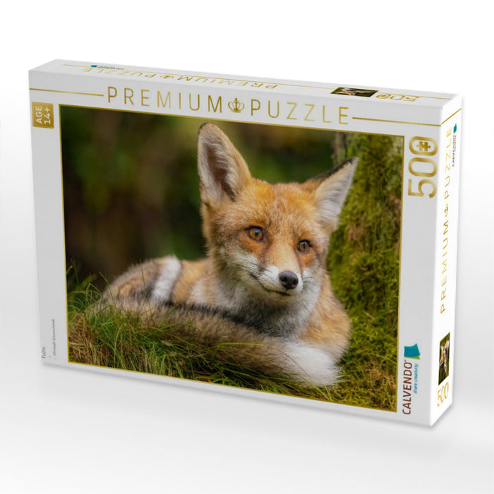Fuchs - CALVENDO Foto-Puzzle'