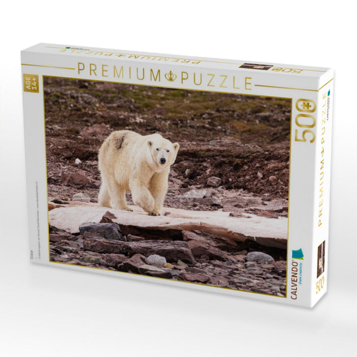 Eisbär - CALVENDO Foto-Puzzle'