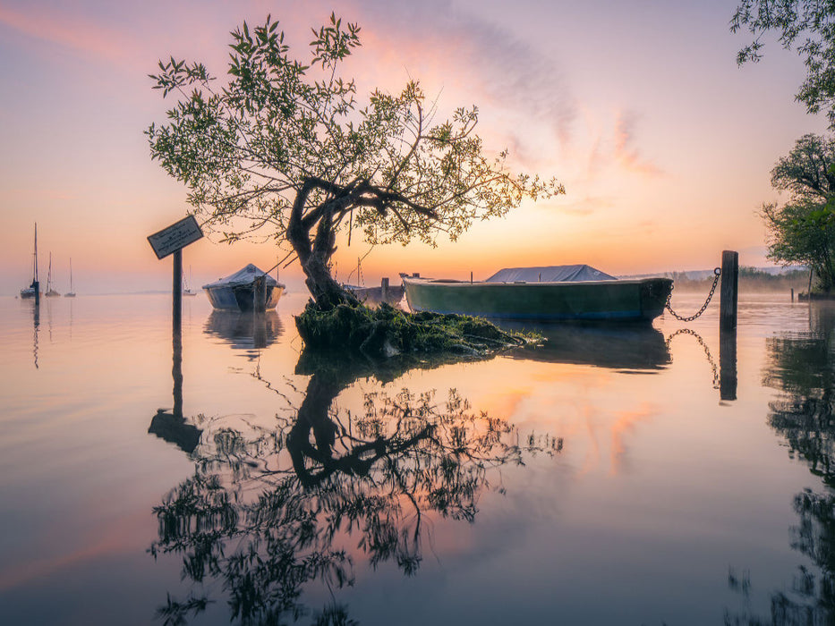Der Baum im See - CALVENDO Foto-Puzzle'