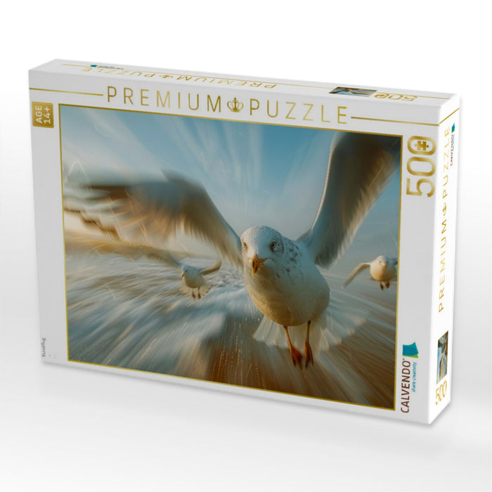 Kunstflug - CALVENDO Foto-Puzzle'