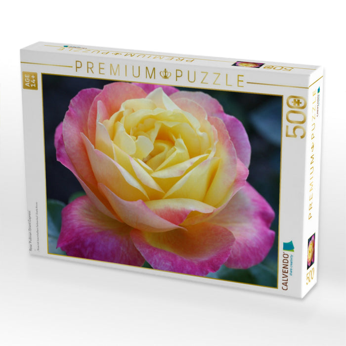 Rose 'Pullman Orient Express' - CALVENDO Foto-Puzzle'